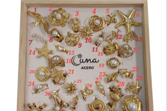 Anillos Acero 1